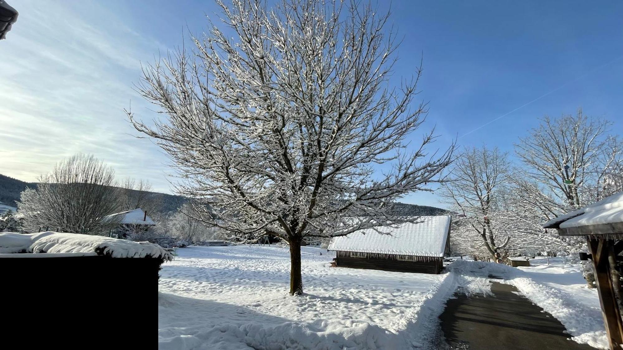 ※ Residence Pomme De Pin - Terrasse - Nature ※ Xonrupt-Longemer Exteriör bild